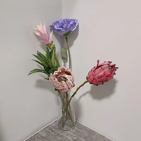 Апартаменты Saeaerijarventie 22 Куопио